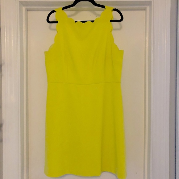 LOFT Dresses & Skirts - Scalloped A-line Dress